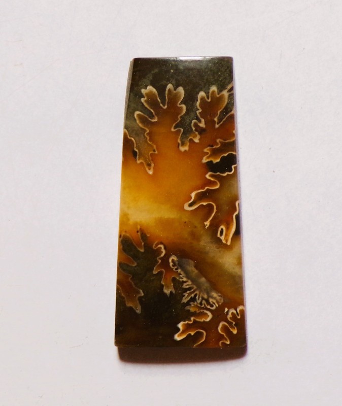 81.50 Cts Natural Ammonite Cabochon Loose Gemstone 50X23X6.3MM DE-26