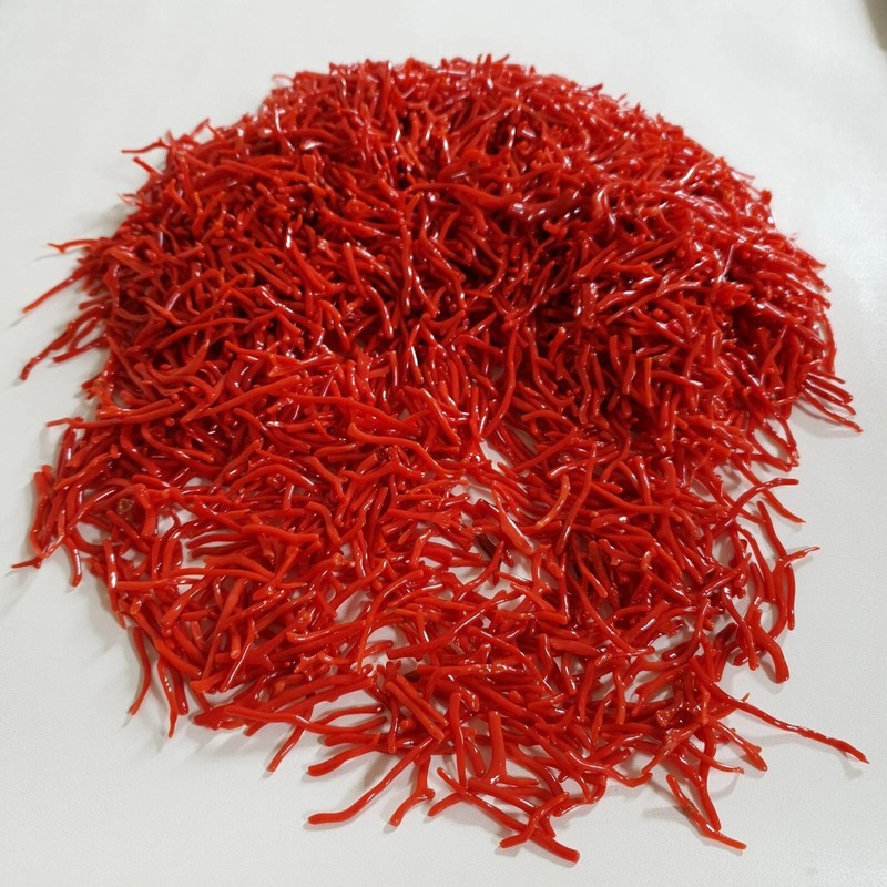 Italian Natural Red Coral Branch Mediterranean Sea Red Coral Gemstone 25 ct Lot