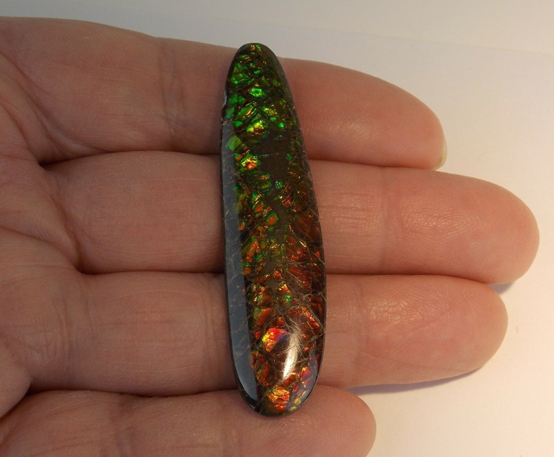 LONG OVAL AMMOLITE – 29 carats – 61 x 16 mm – ALBERTA, CANADA 25754