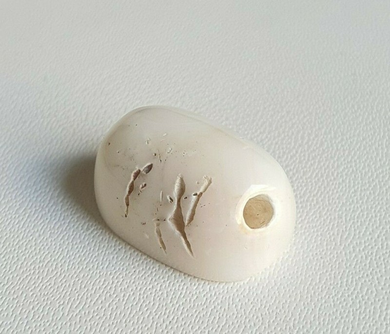 15X10X7'MM Flat Oval White Natural Japanese Mediterranean Coral Loose Cabochon. gallery