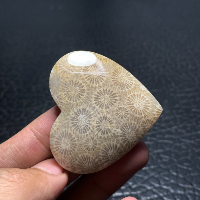 Fossilized Coral Cabochon 45x42x9.5mm High Quality 124 ct gallery