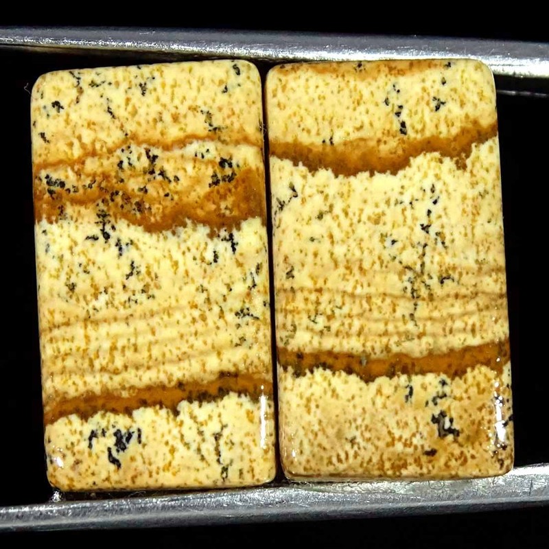 10.40Cts Natural Picture Jasper Cabochon Loose Gemstone Pair 10x17x3mm Cushion