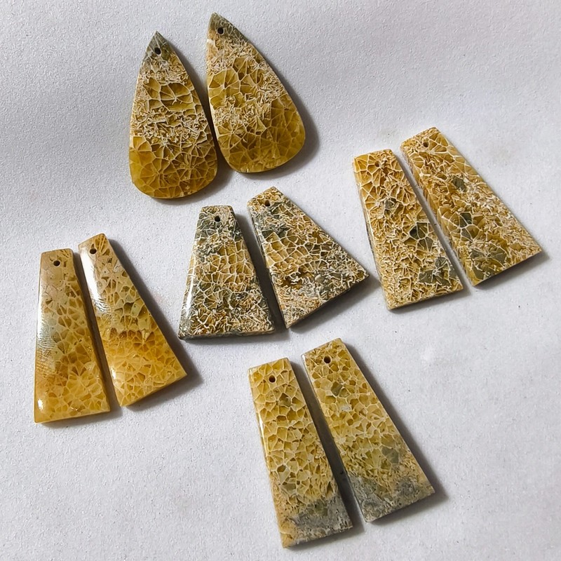5 Pcs Lot 187 Cts Natural Fossilized Coral Drilled Match Pair Cabochon Gemstone gallery