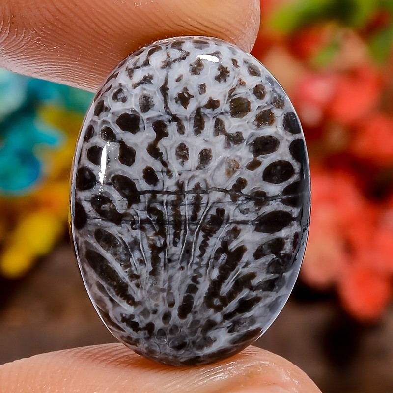18 Ct. Natural Oval Stingray Coral Spiritual Cabochon Loose Gemstone 22X16X5 mm
