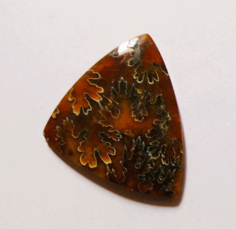 69.85 Cts Natural Ammonite Cabochon Loose Gemstone 45X38X6MM DE-49
