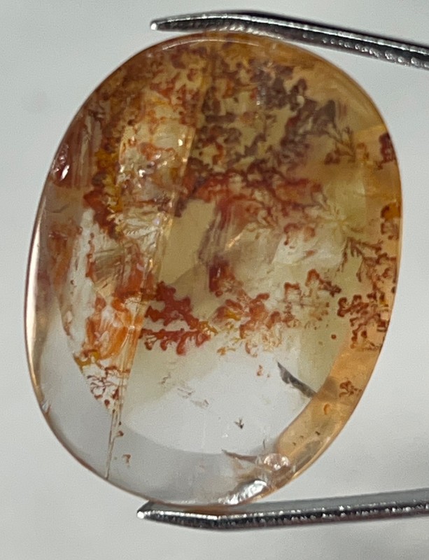 IPDI-1 Dendrite Quartz 33.70ct 30x22x6mm Oval, picture stone garden branches gallery
