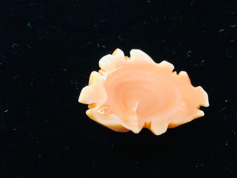Japanese Obidome Carved Salmon Coral Rose Flower 1.4g gallery