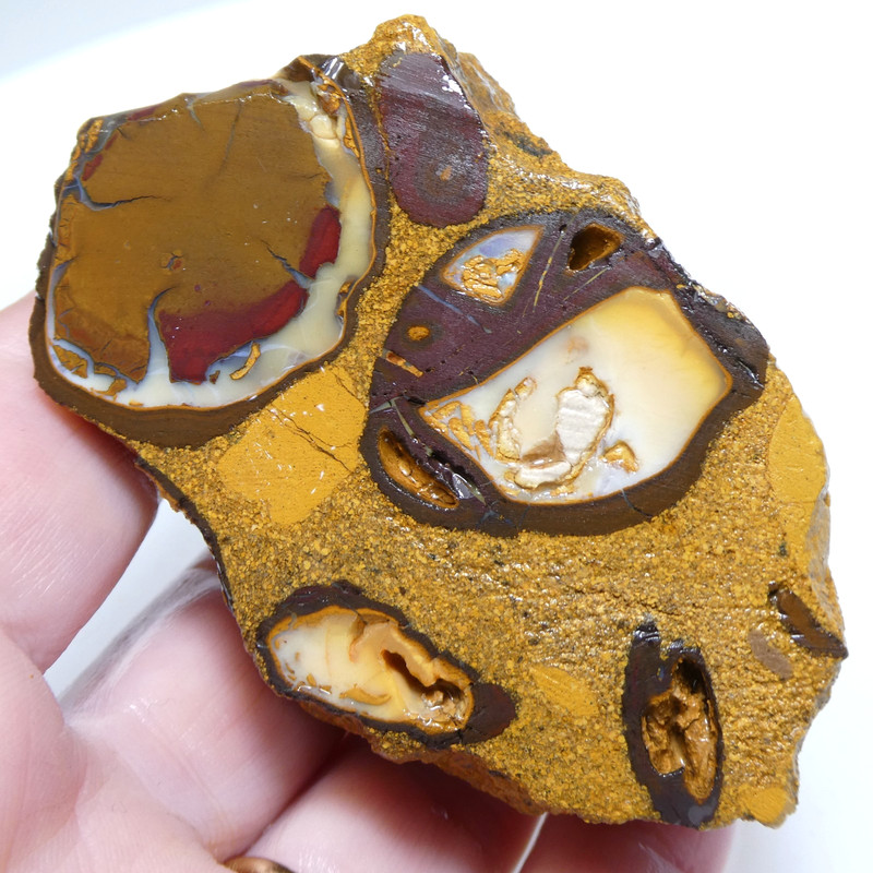 SUPERB 516 CT AUSTRALIAN BOULDER OPAL Rough Unpolished Specimen Video RAW gallery