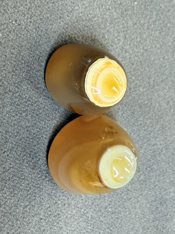 100% NATURAL Gobi Agate Eye Top Quality Untreated Rare Pattern | 2 Pcs | 40 TCW