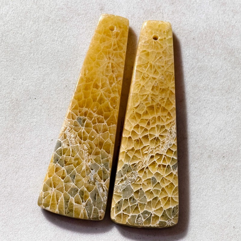 60 Cts Natural Fossilized Coral Drilled Pair Cabochon Gemstone 46.7 X 15.2 MM