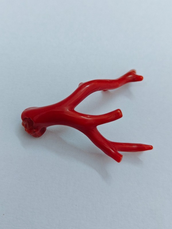 Natural Italy Red Coral Polished Branch Genuine Mediterranean Sea Coral Gemstone gallery