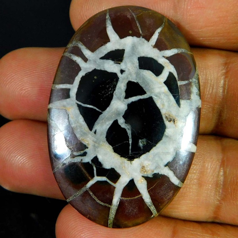 59.30Cts. Natural Black Septarian Fossil Oval Cabochon Reiki Healing Gemstone