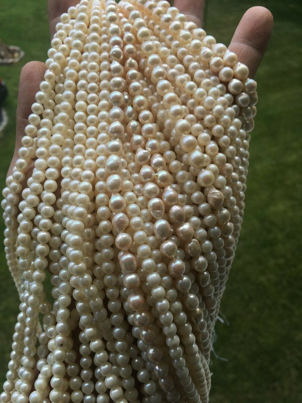 PEARLS SOUTH SEA PEARLS ALL SIZES 7.5MM STRAND