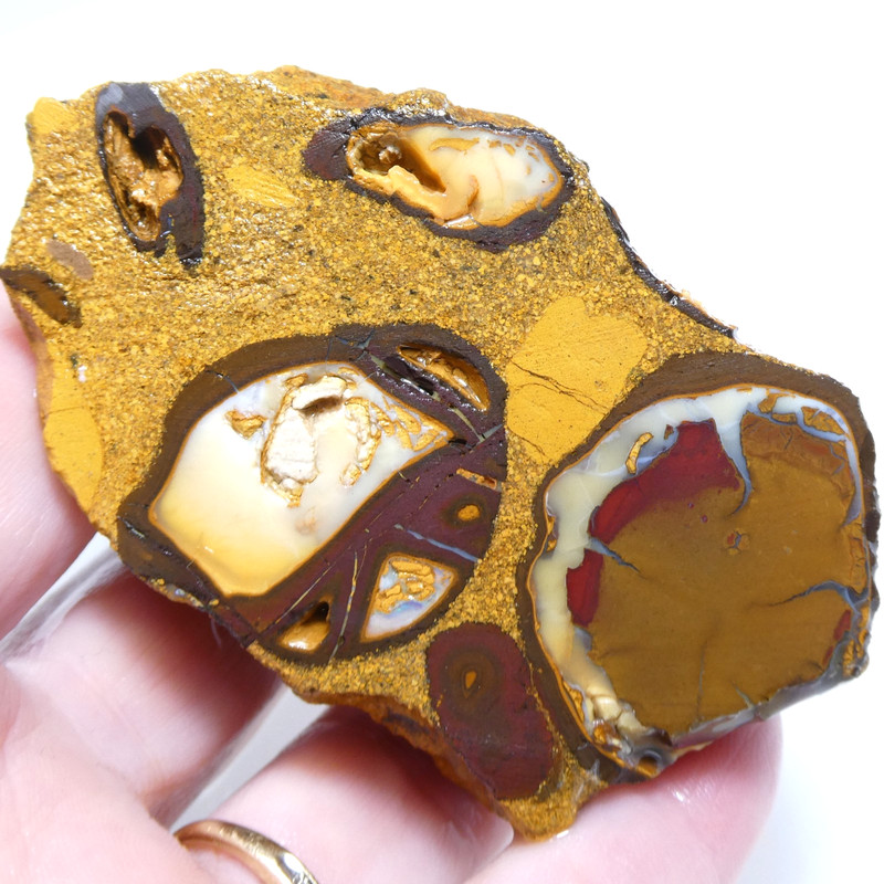SUPERB 516 CT AUSTRALIAN BOULDER OPAL Rough Unpolished Specimen Video RAW gallery