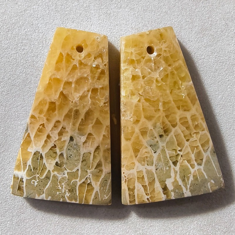 40 Cts Natural Fossilized Coral Drilled Pair Cabochon Gemstone 28.2 X 17.3 MM