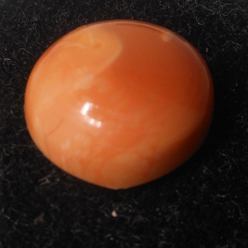 10.05ct Mexican Fire Opal Freeform 16mm Pop It in the Cart Sale