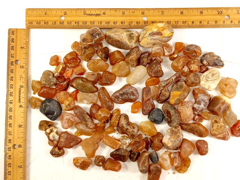Amber Stones Raw Lot of 1001 All sizes