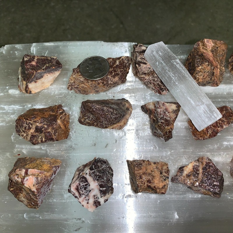PICASSO JASPER ROUGH, CHARGED 1000 CARAT LOT + A FREE SELENITE CHARGING STICK