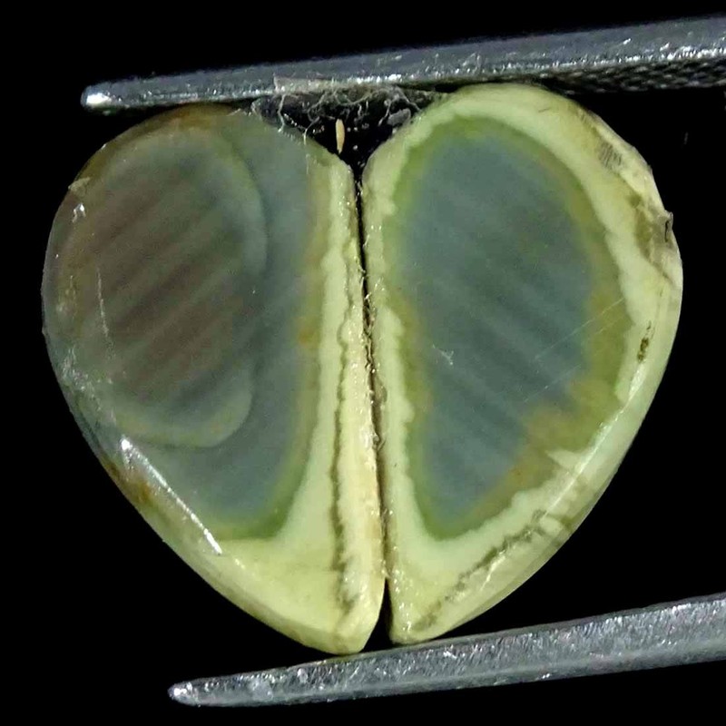 05.40Cts Natural Imperial Jasper Fancy Pair Cabochon loose Gemstone 07x13x3mm gallery