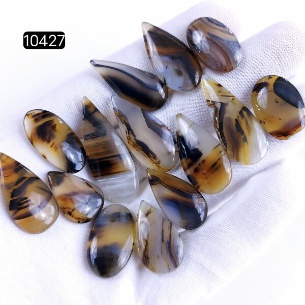 14Pcs 145Cts Natural Montana Agate Cabochon Gemstone Lot 35X14 20X13mm #R-10427