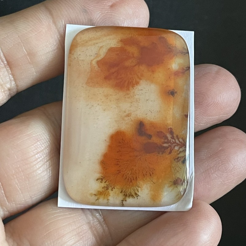 55.5ct 41.4x28.3x5.5mm Collector’s Red Dendritic Agate Crystal Doublet Cabochon gallery