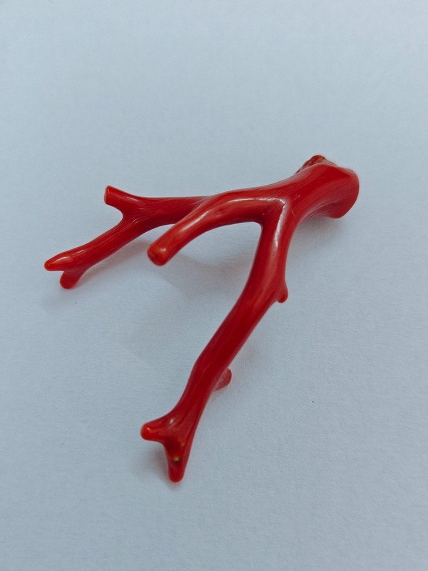 Natural Italy Red Coral Polished Branch Genuine Mediterranean Sea Coral Gemstone gallery
