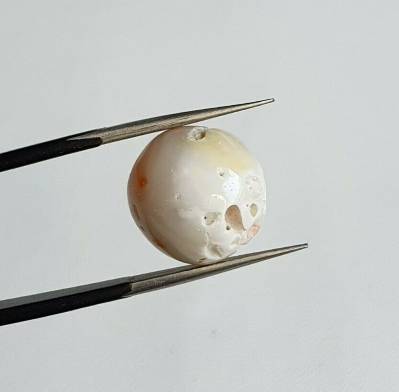 12x7'MM Half Round White Natural Japanese Mediterranean Coral Loose Cabochon. gallery