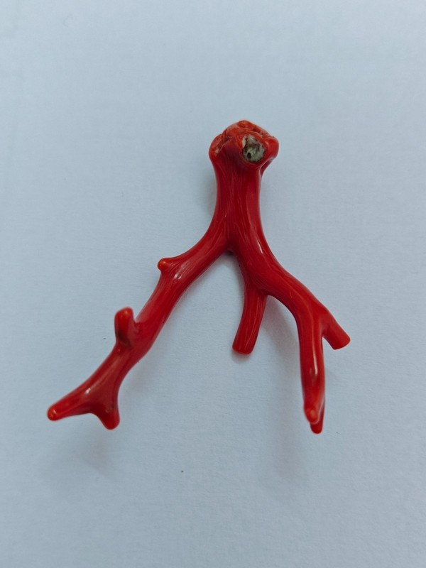 Natural Italy Red Coral Polished Branch Genuine Mediterranean Sea Coral Gemstone gallery