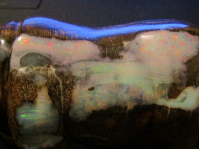 Australia Boulder Opal Hippo 5.25" 3 inches of Opal Flashes of Red Orange gallery