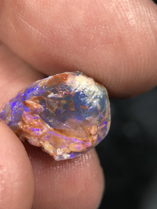 OPALISED Fossil 18x14x7mm 8.50 CT’s Bright Blue Green, Collect Or Carve