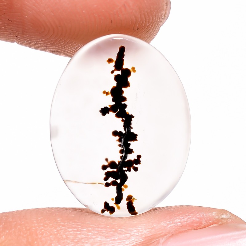 5.20Cts.100%Natural Scenic Dendritic Agate Oval Cabochon 13x17x2mm Loose Gems