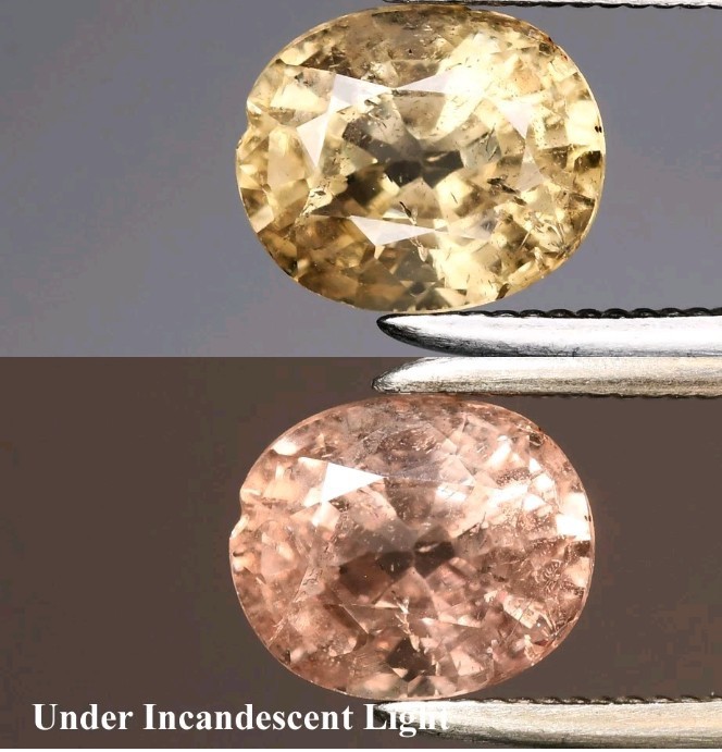 1.25 ct Rare Color Change Garnet. Rare Find Rare Color Rare Size