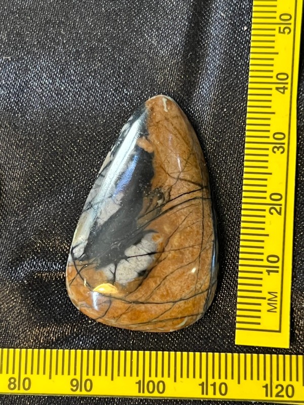 A very nice high grade multicolored Picasso Jasper 39mm x 24mm