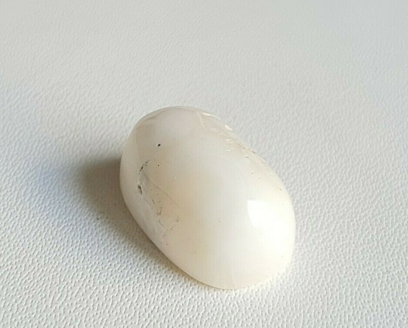 15X10X7'MM Flat Oval White Natural Japanese Mediterranean Coral Loose Cabochon. gallery