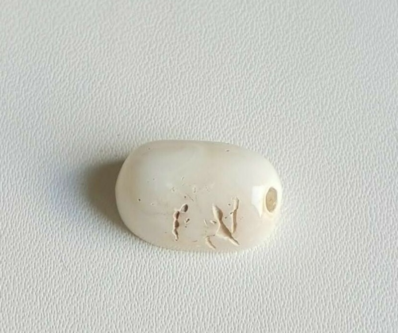 15X10X7'MM Flat Oval White Natural Japanese Mediterranean Coral Loose Cabochon. gallery