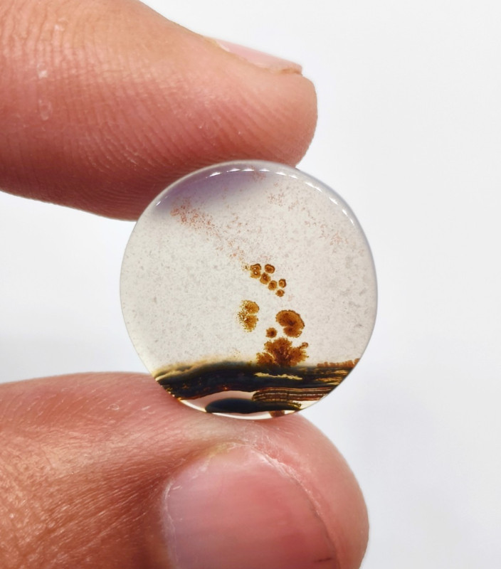 Shazar Scenic Dendritic Agate Lose Cabochon Gemstone 4.65ct 16x16x2mm J-796