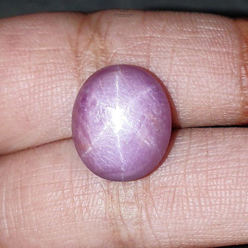 16.05cts 6 Ray Natural Star Ruby Oval Cabochon Gemstone 14.5*12.5mm 1pc