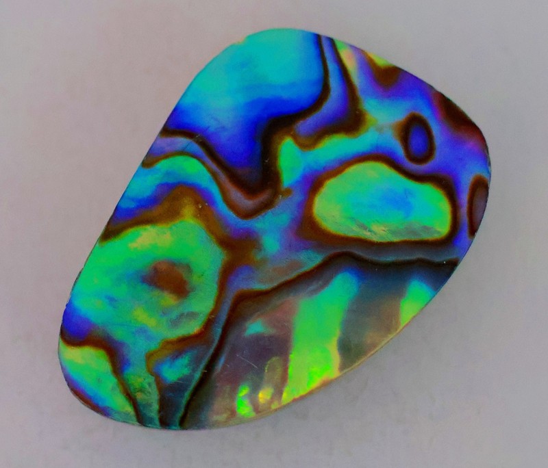 48 Ct 7X21X31 mm Natural Multi Fire Abalone Shell Fancy Cabochon Gemstone KQ-738