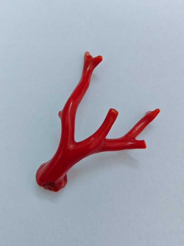 Natural Italy Red Coral Polished Branch Genuine Mediterranean Sea Coral Gemstone gallery