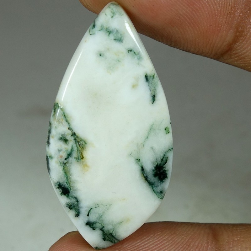 100% Natural Tree Agate Fancy Cabochon Loose Gemstones 25.65Cts 19x 37x 05mm