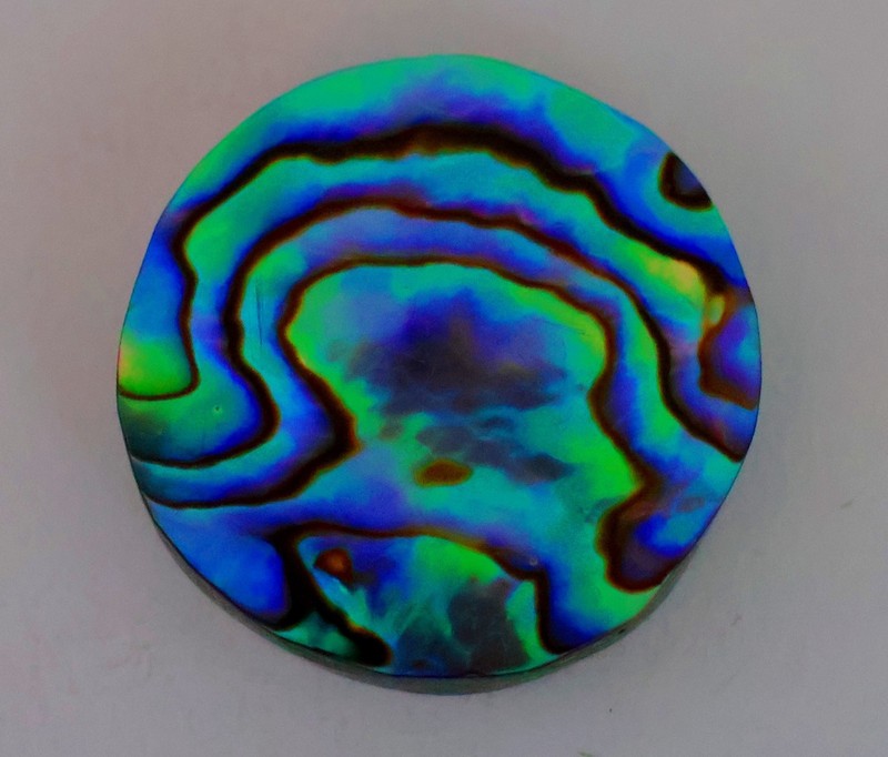 37 Ct 6X26X26 mm Natural Multi Fire Abalone Shell Round Cabochon Gemstone KQ-649