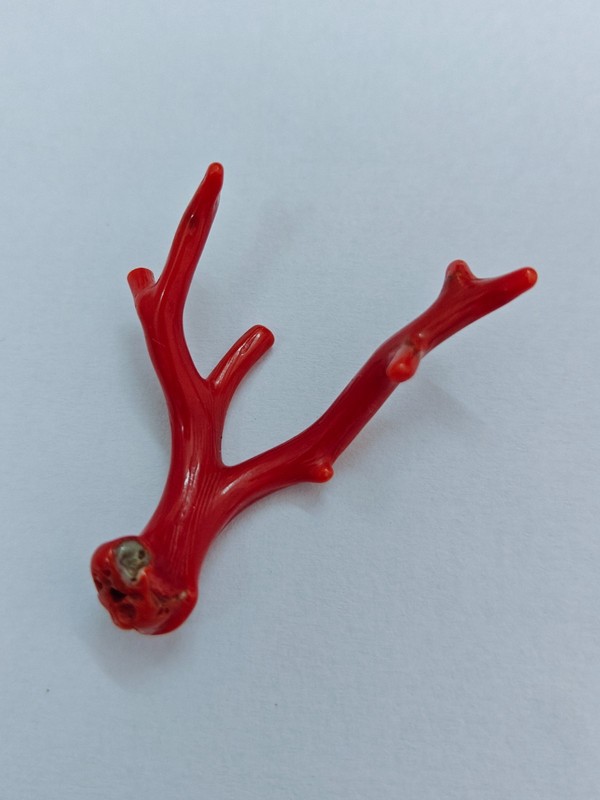 Natural Italy Red Coral Polished Branch Genuine Mediterranean Sea Coral Gemstone gallery