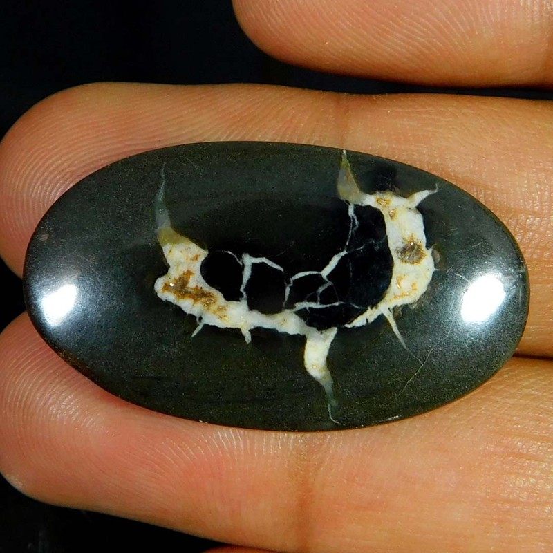 32.80Cts. Natural Black Septarian Fossil Oval Cabochon Reiki Healing Gemstone