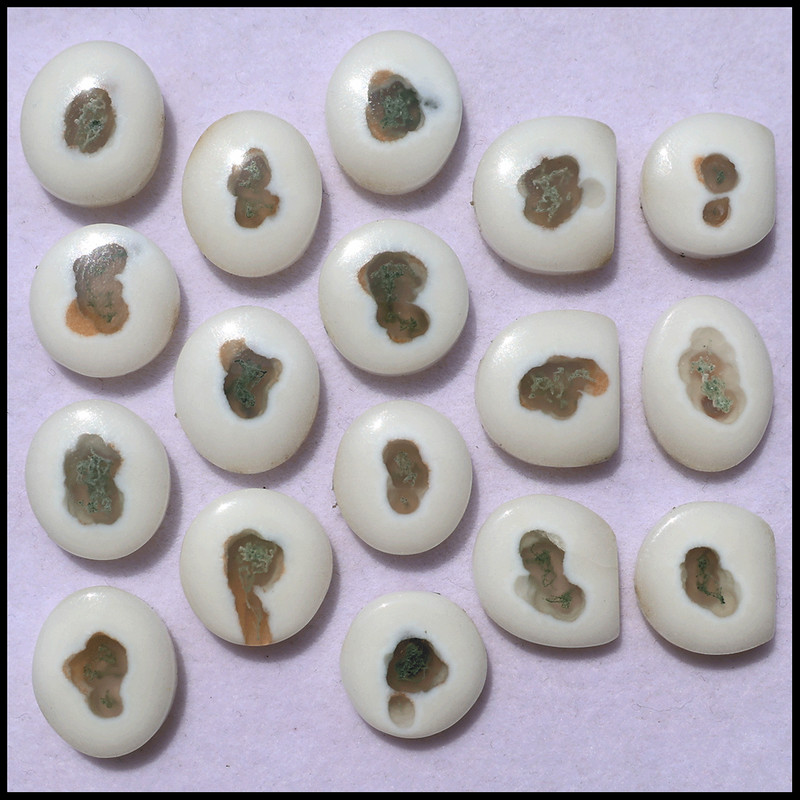 Rare Quality 17 Pcs Natural Solar Quartz Hi-Grade 12-15mm Cabochon Gemstones Lot