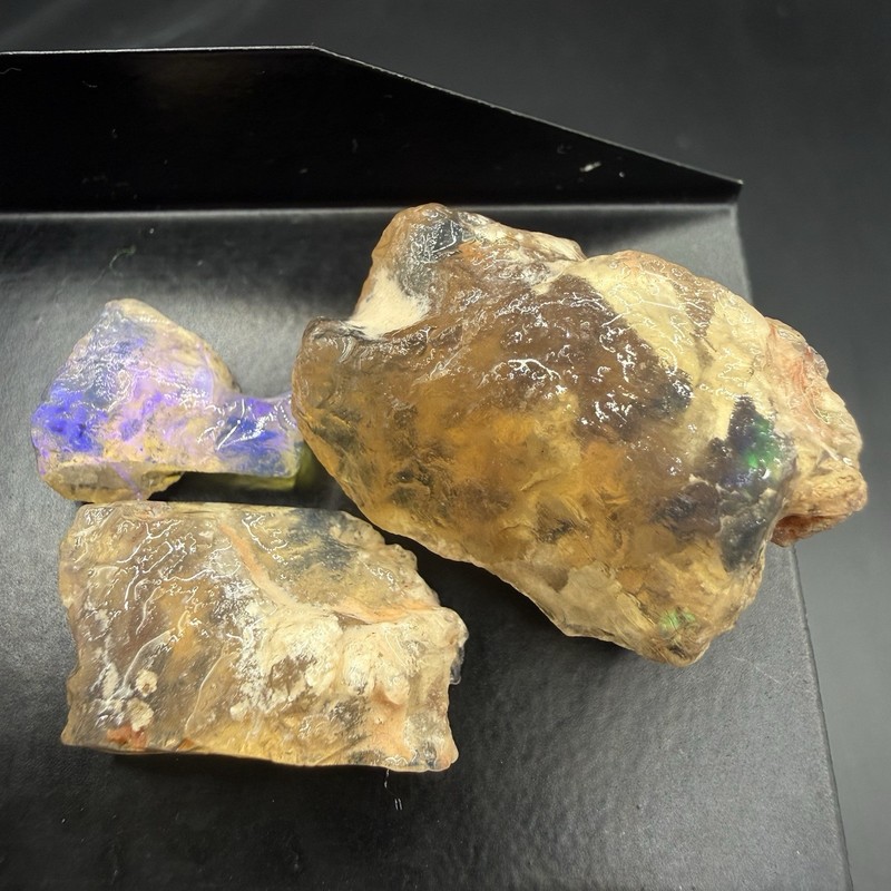 56.5 ct Lightning Ridge Assorted Opalised Fossil – Western Opal