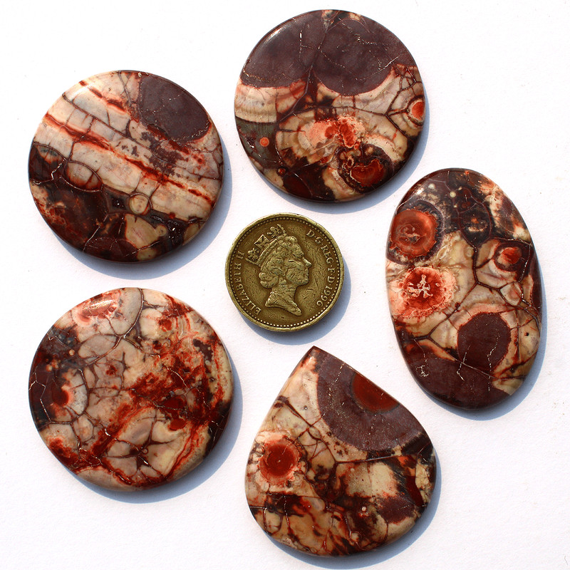 5 Pcs Natural Bird Eye Jasper Top Grade 37mm-46mm Cabochon Gemstones Lot~ 300 CT gallery