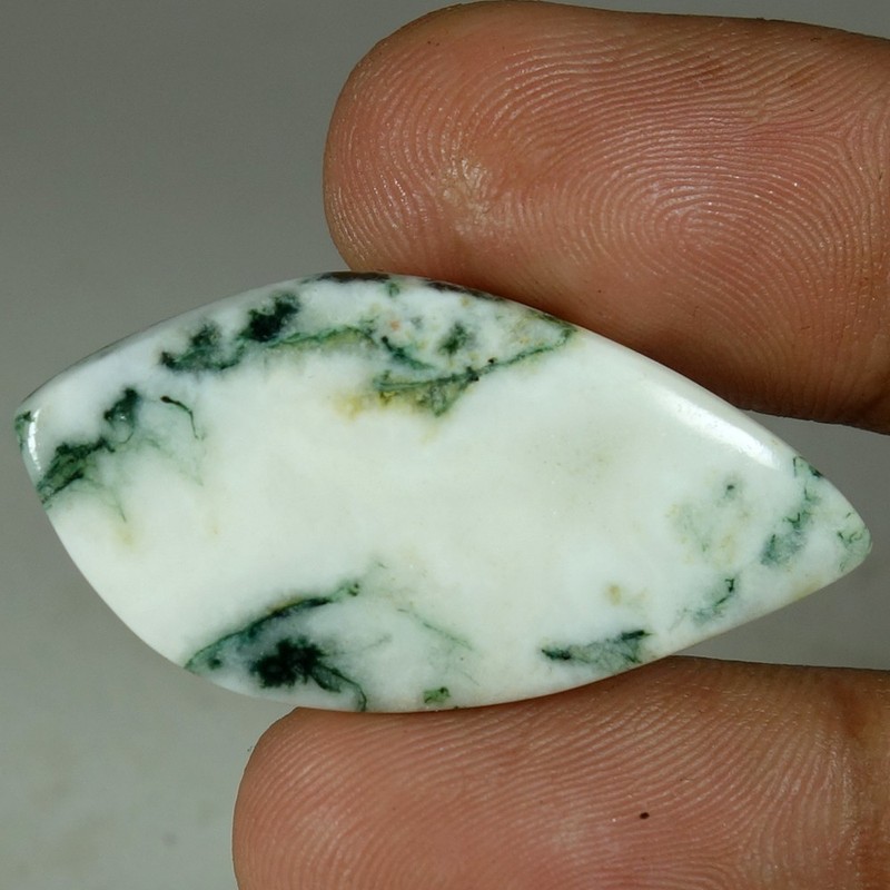 100% Natural Tree Agate Fancy Cabochon Loose Gemstones 25.65Cts 19x 37x 05mm gallery