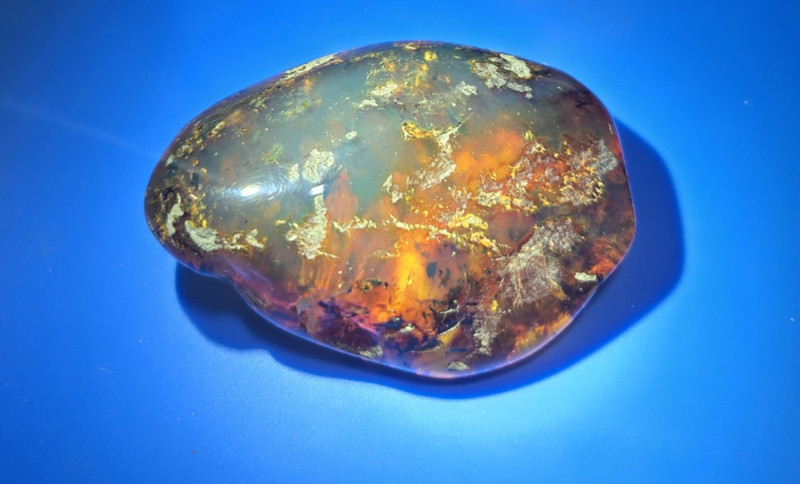 Large Natural Dominican Green Amber Semi-Polished 78g
