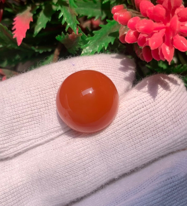 Amazing Natural Carnelian Gemstone Round Cabochon 17x17x10 mm, 23 Carats Approx