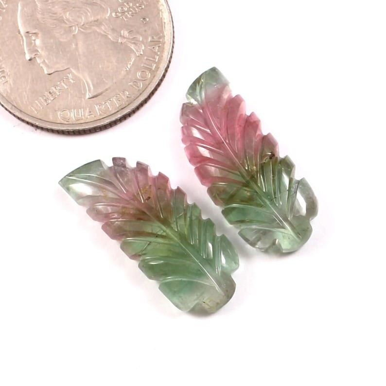 Loose Gemstone Natural Hand Carved Watermelon Tourmaline Leaf Stone A434
